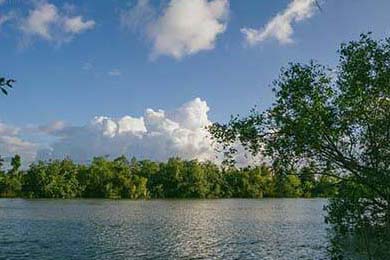 资深教练离任，新帅策略成谈资，教练zefa去哪了